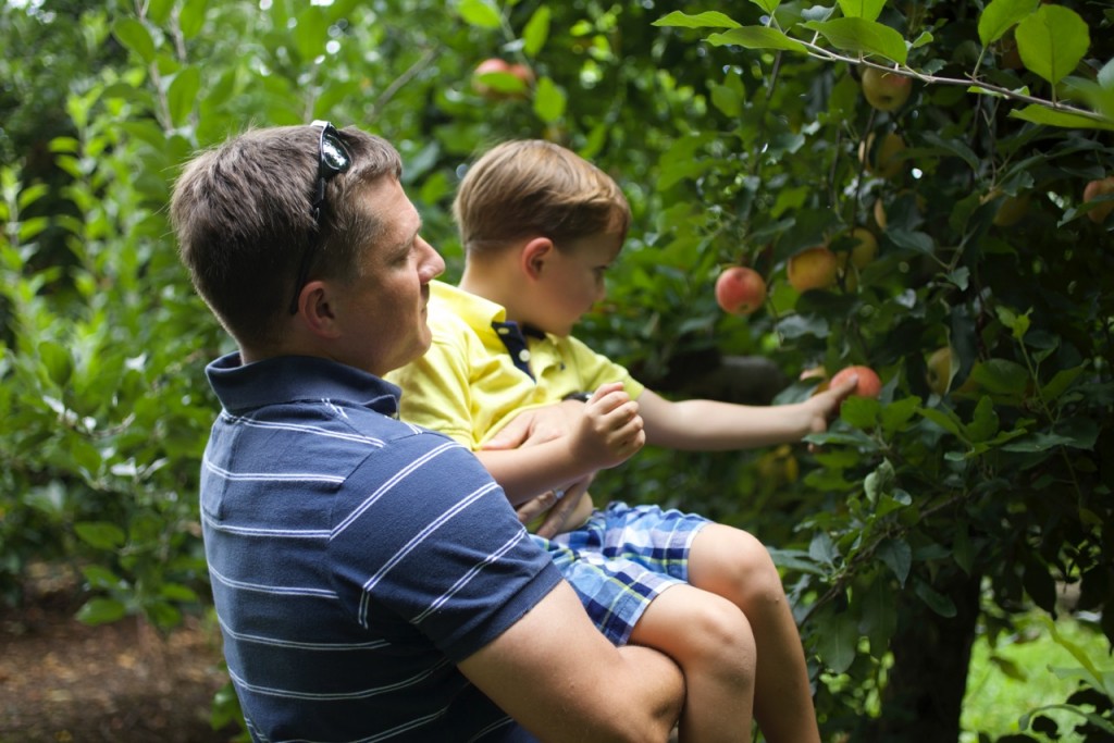 Finding Apples