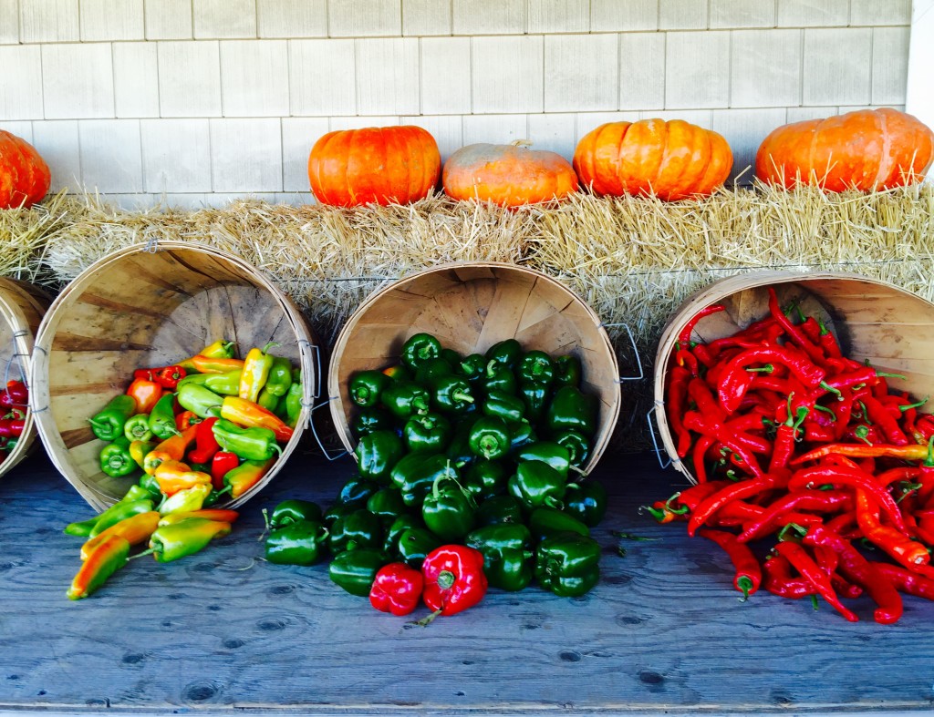 Create Fall Colors On Your Plate