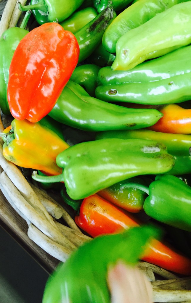 Create Fall Colors On Your Plate